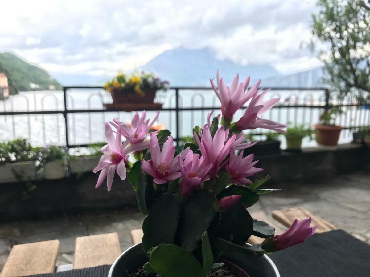 Gli Oleandri Hotel Bellano Luaran gambar